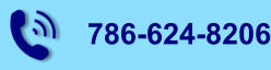 786-624-8206